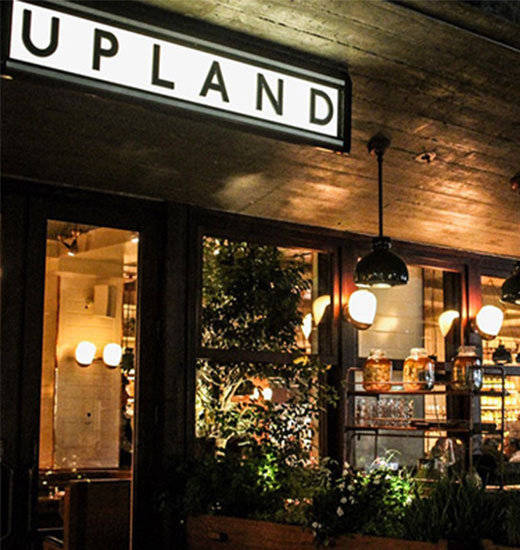 Upland Bar Restaurant Design in Miami, Florida